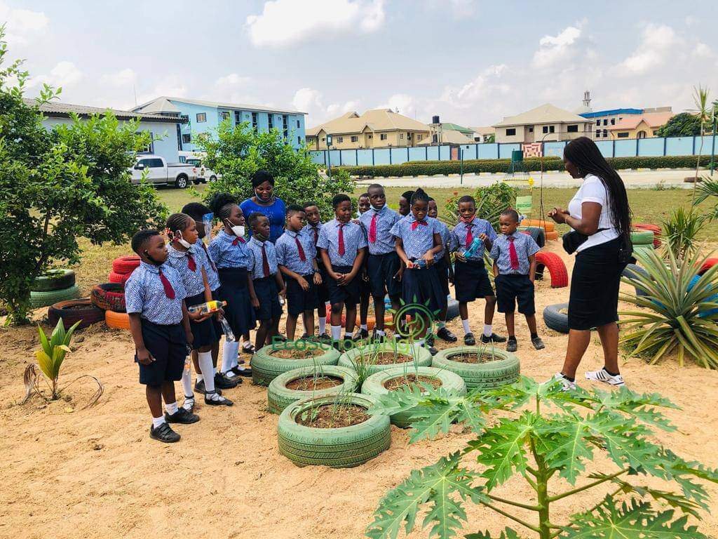 The green education project